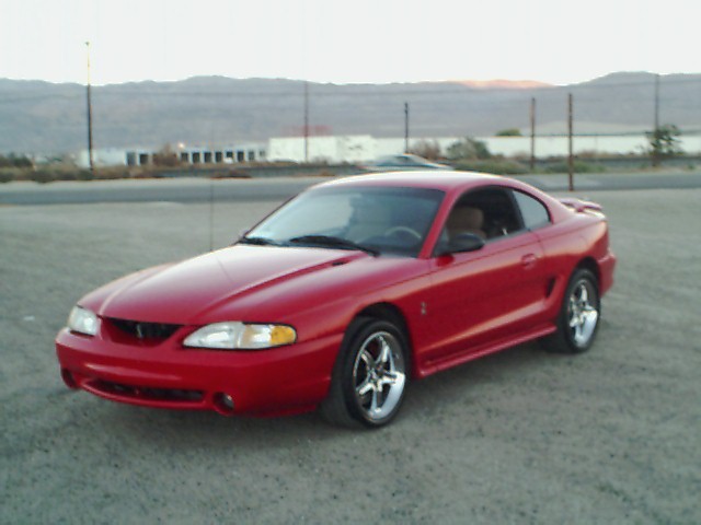 1995  Ford Mustang Cobra picture, mods, upgrades