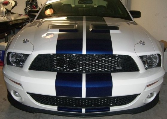 Ford Gt Mustang 500. 2008 Ford Mustang Shelby-GT500