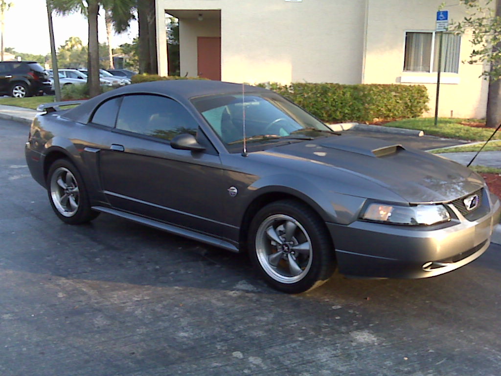 2004 Ford mustang gt horsepower and torque #6