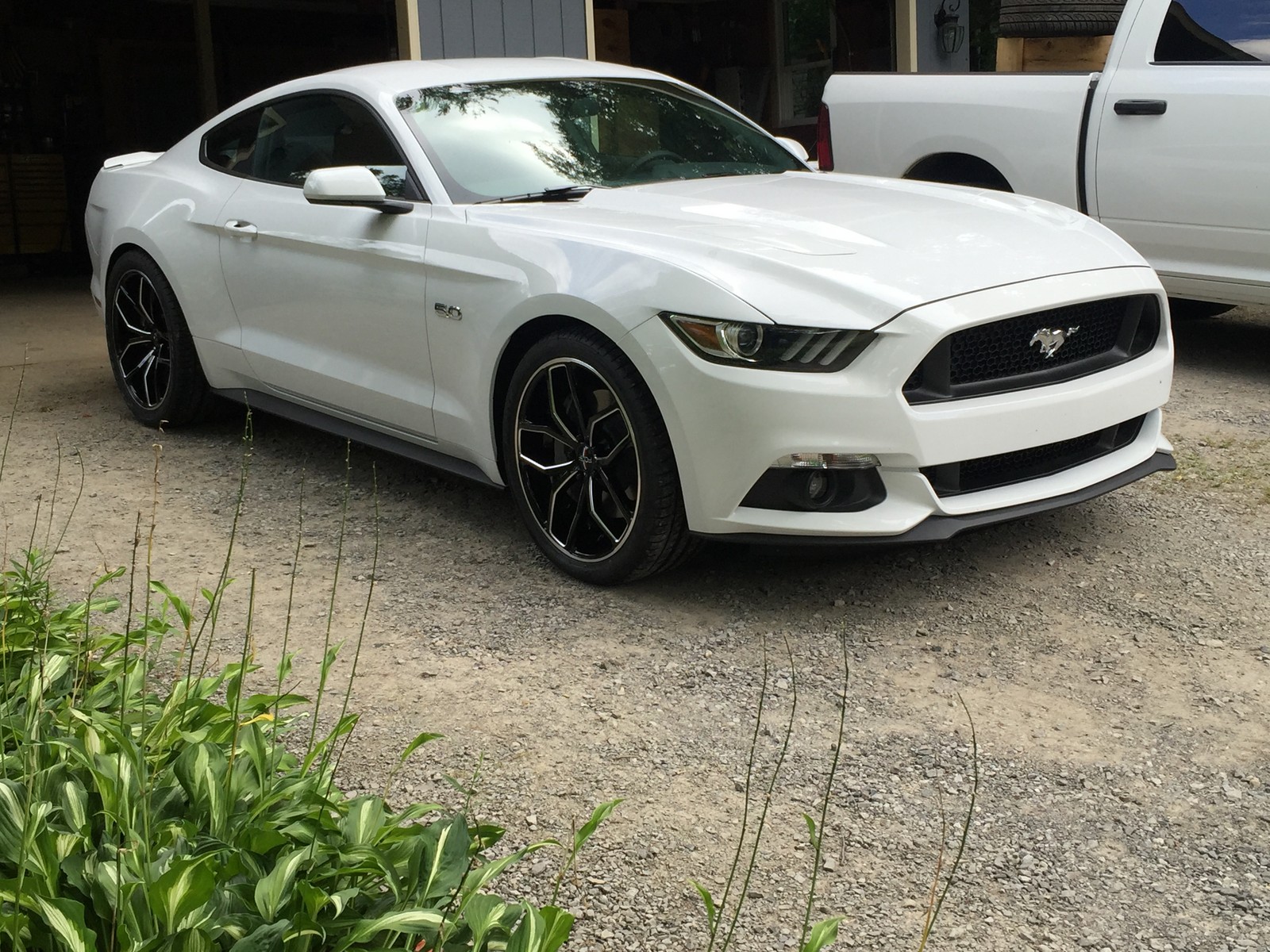 2016 White Ford Mustang GT Whipple 2.9 picture, mods, upgrades
