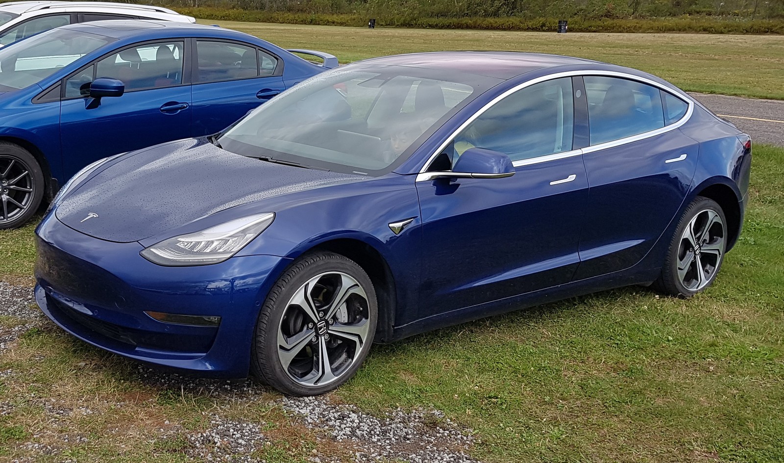 2019 Blue Tesla Model 3 Long Range Dual Motor picture, mods, upgrades