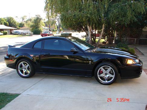 2000  Ford Mustang GT picture, mods, upgrades