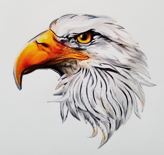 American Eagle Decal Sticker