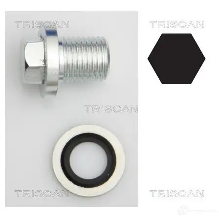 TRISCAN Oil Pan Locking Screw for Ford Land Rover Lotus mg 66-15 1663906