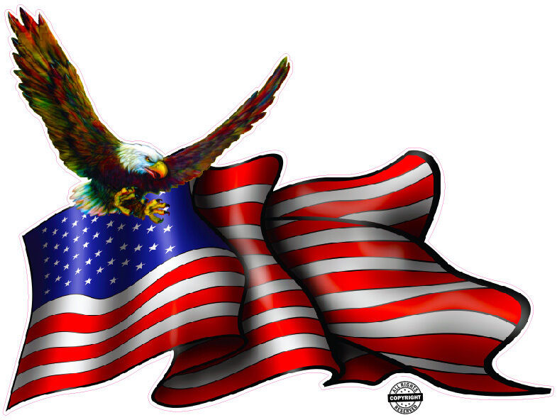 American Flag Soaring Eagle 12\
