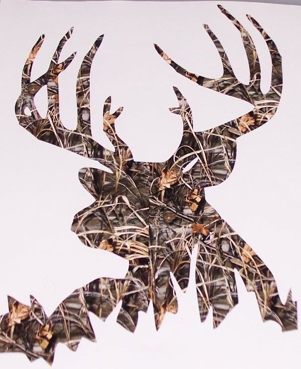 REAL TREE M4 CAMO BACK WOODS Buck Deer Hunting Decal Sticker