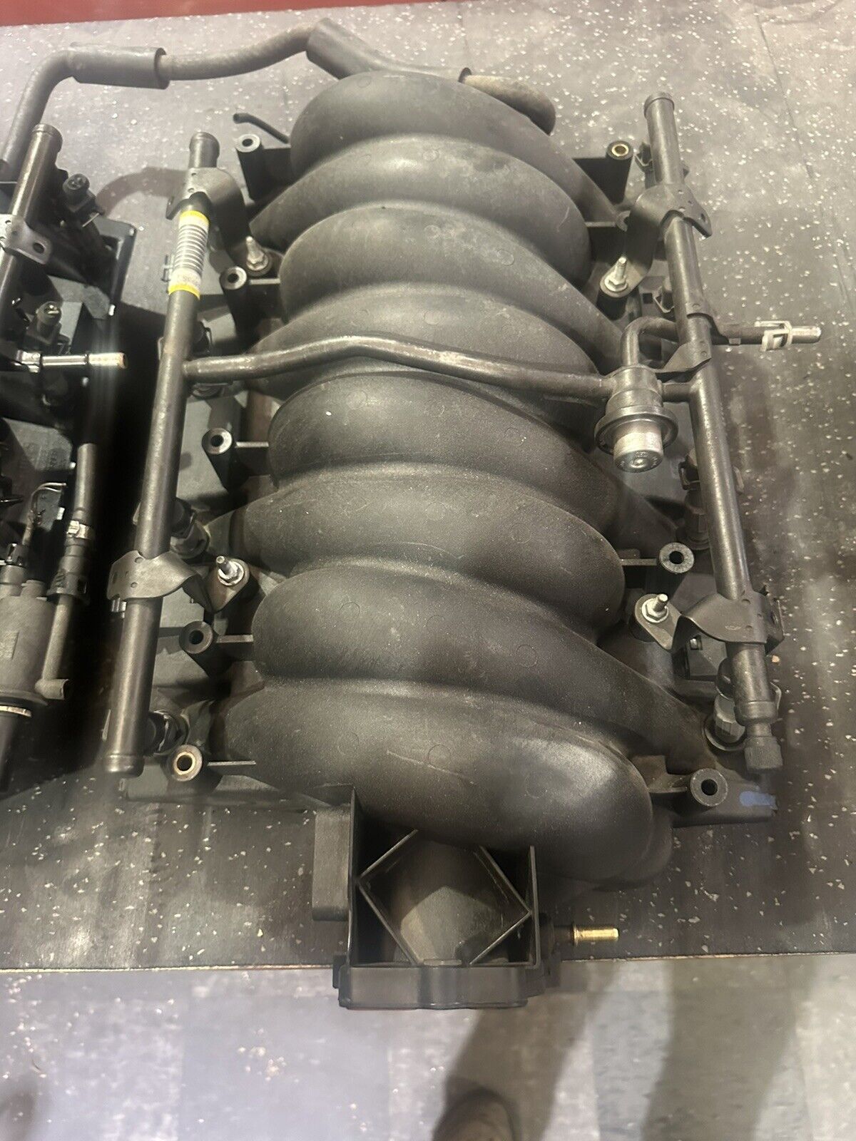 Ls6 Intake manifold OEM Corvette Camaro HSV LS1  4.8 5.3 5.7 6.0 LSX 12573572