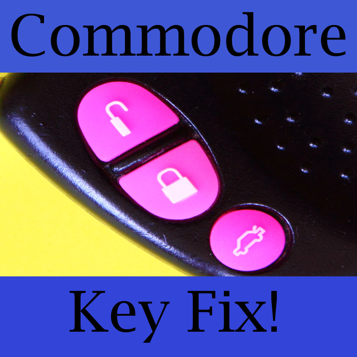 Holden Commodore Key Buttons VS VT VX VY VZ Pink Set