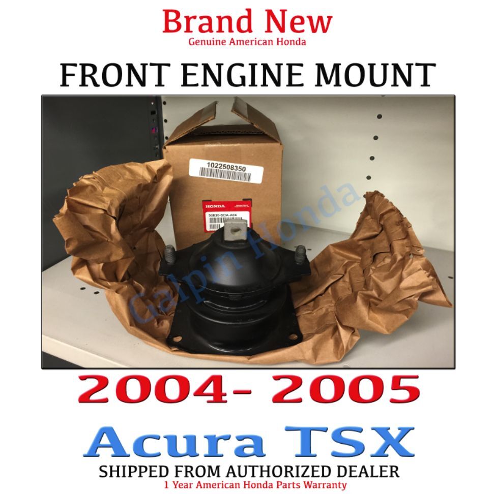 2004- 2005 Acura TSX GENUINE Front Engine Mount (50830-SDA-A04)