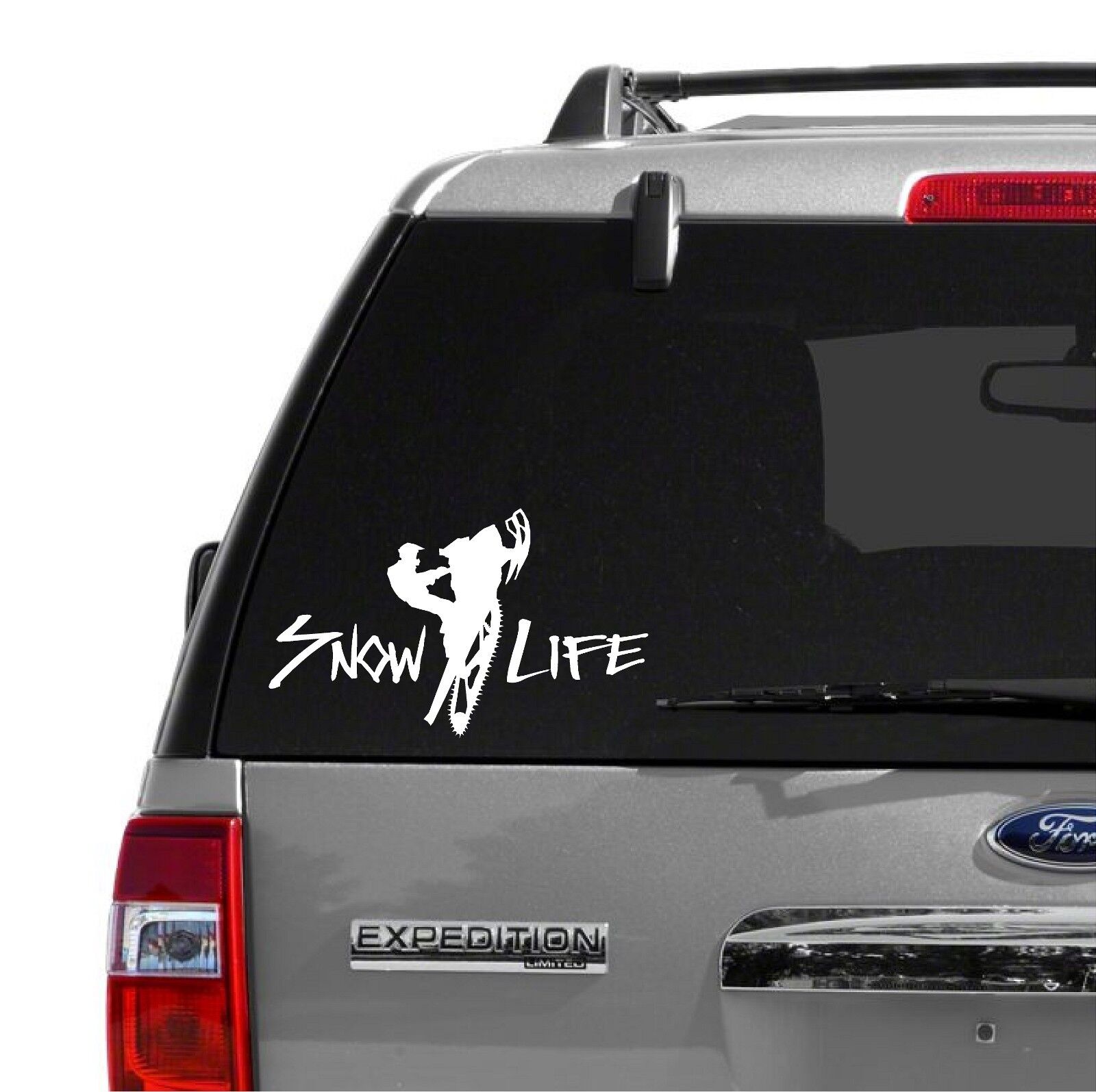 Snow Life / Snowmobile 8.25