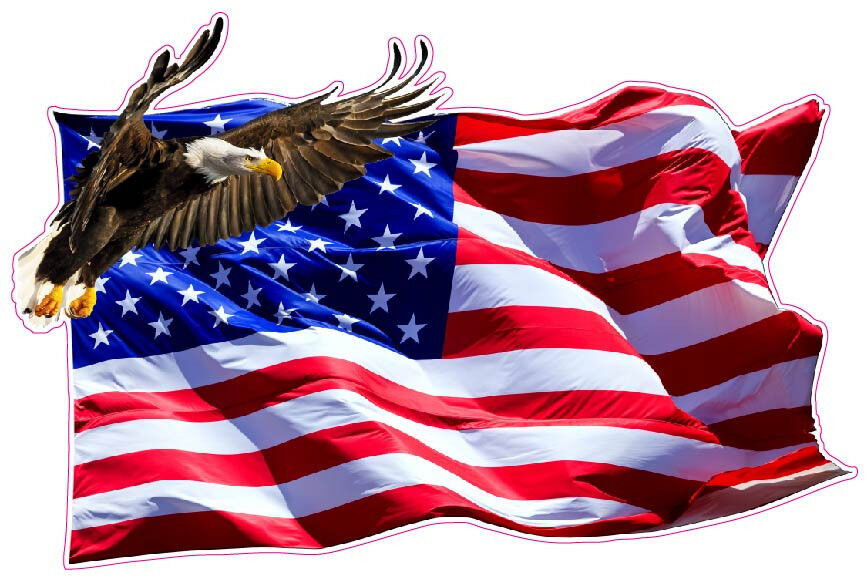 American Flag Soaring Eagle V2 Large 12\