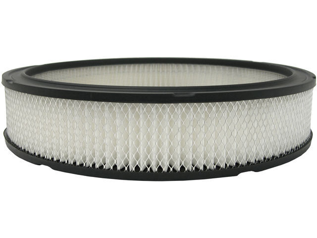 For 1975-1976 Ford F500 Air Filter AC Delco 62472VPZY Gold -- New