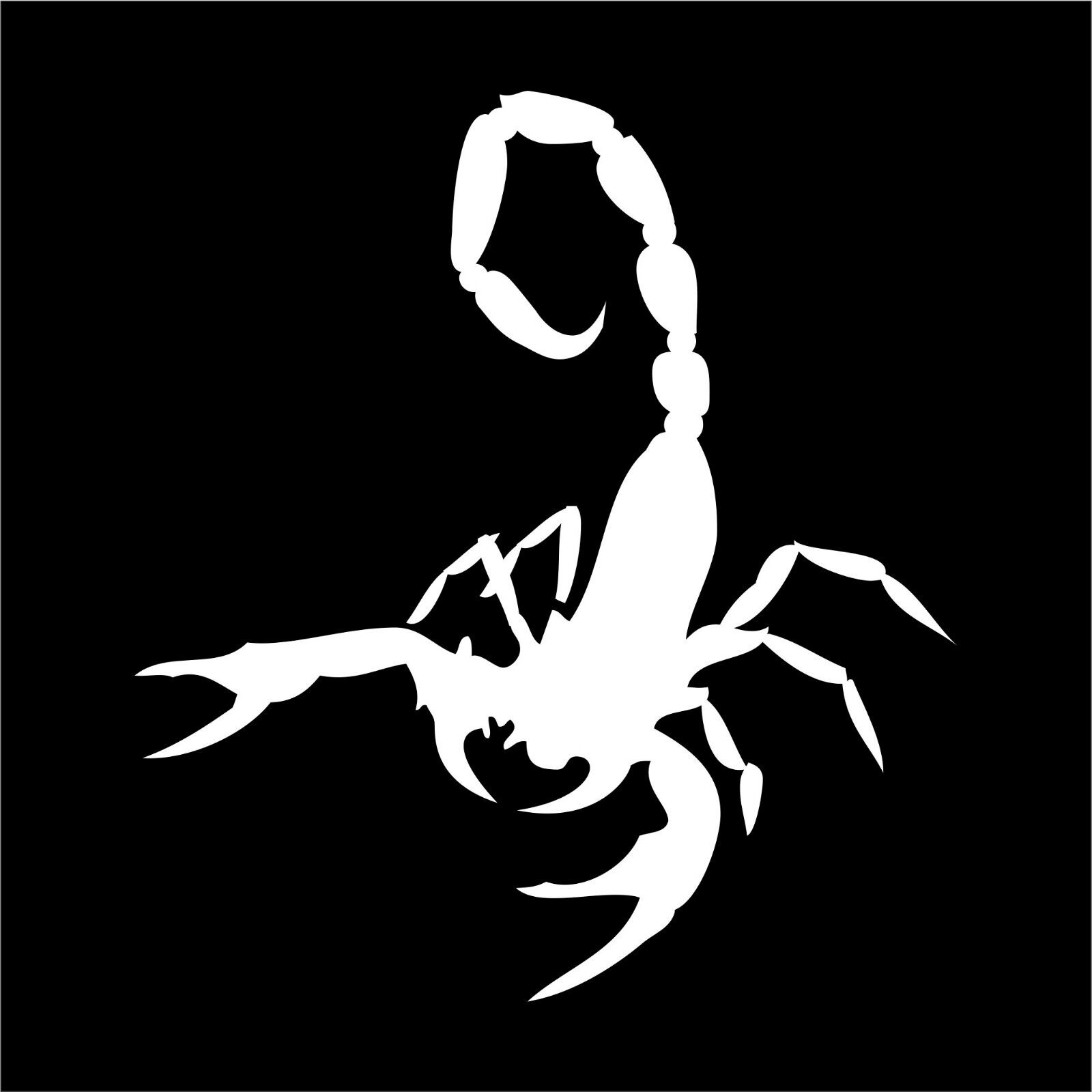 Scorpion Decal Sticker Car Decal Laptop Decal - Choice of Colors & Sizes 