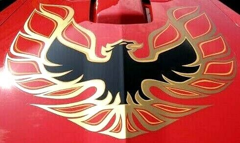 1973-78 TRANS AM COMPLETE DECAL KIT - GOLD w 1 PC HOOD BIRD -GM LIC. MADE IN USA