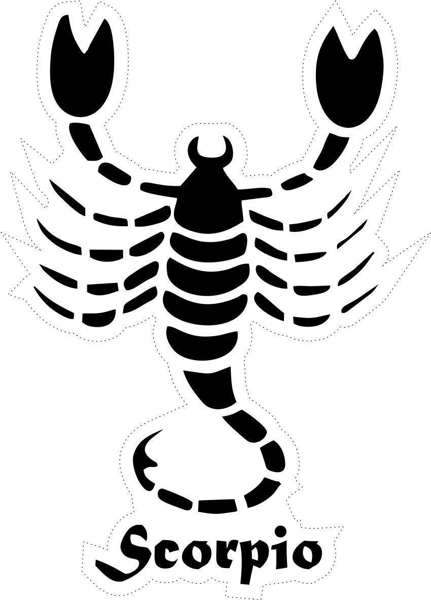 Sticker decal zodiac astrological astrology sign vinyl scorpion scorpio