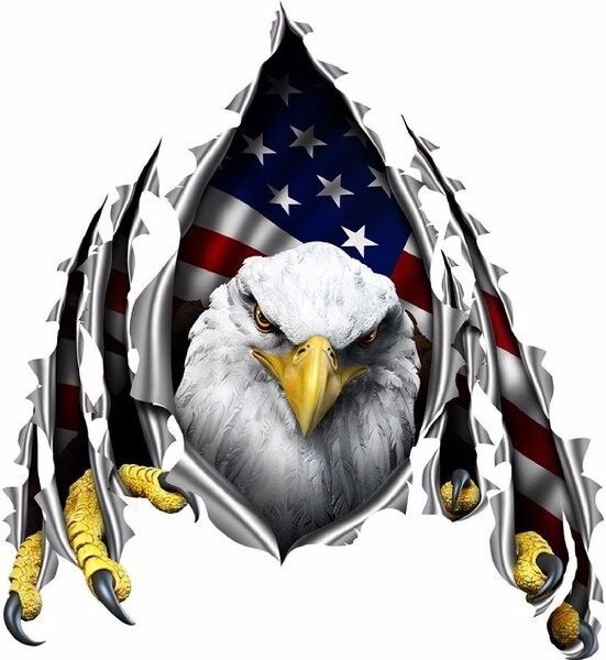 American flag eagle rip decal Camper RV motor home mural graphic