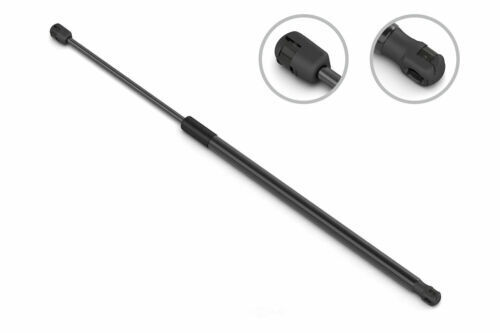 Liftgate Lift Support-Hatch Lift Support Stabilus Fits 2004 Chrysler Crossfire