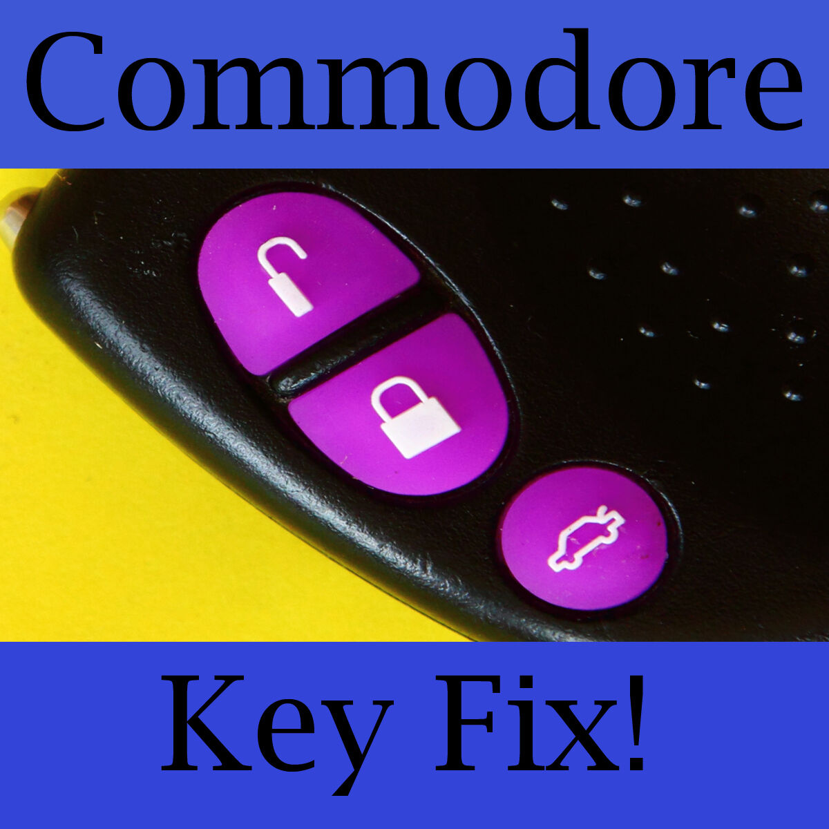 Holden Commodore Key Buttons VS VT VX VY VZ Purple Set