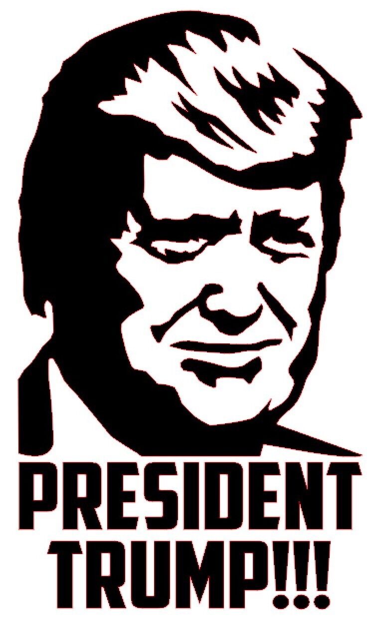 PRESIDENT TRUMP Vinyl Decal Sticker Bumper Wall Window MAGA Donald Election 2020