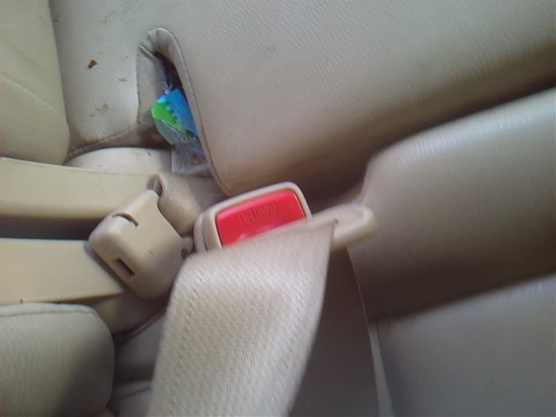 TRIBECA   2014 Seat Belt Rear 23231873