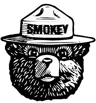 Smokey Bear Bumper Sticker Forest Fire Fighter Car Decal 2.5\