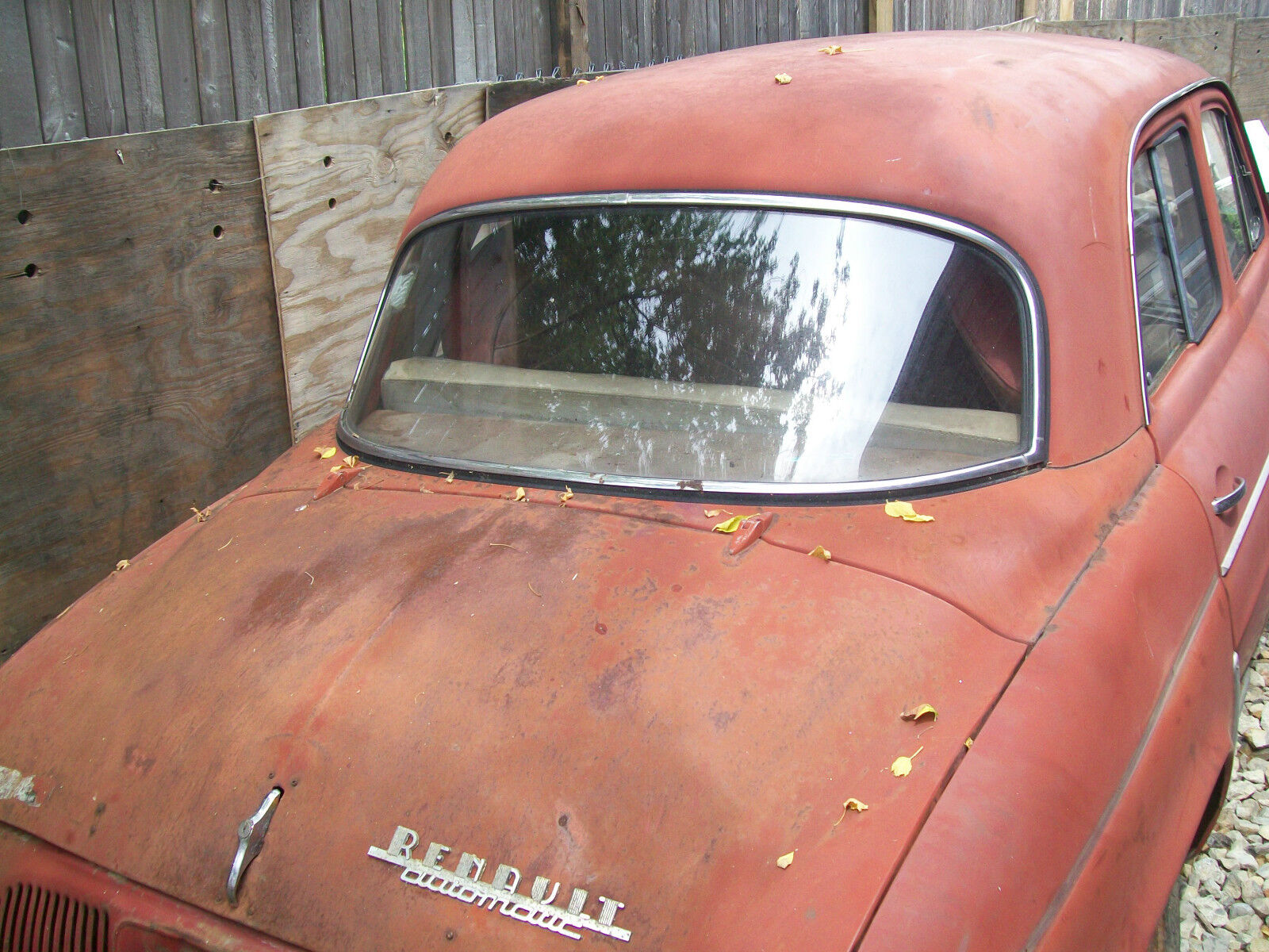 REAR WINDOW GLASS RENAULT DAUPHINE 1959 AND UP, Visit our website 