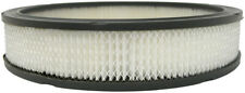 Engine Air Filter picture