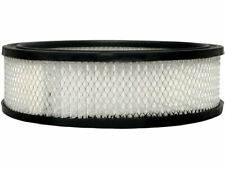 AC Delco 65SJ25G Air Filter Fits 1986-1994 Chevy S10 Blazer picture