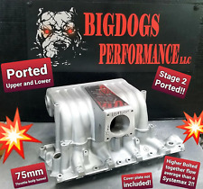 1986-95 Explorer GT40 ORIGINAL RACE PORTED intake manifold from BIGDOGS PORTING picture