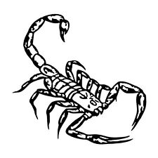 Scorpion Sticker - Scorpio Zodiac Decal picture