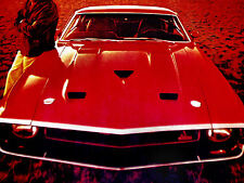 1969 FORD MUSTANG SHELBY GT 500/350 ORIGINAL AD *door/hood/steering wheel/decal picture