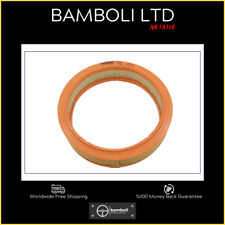 Bamboli Air Filter For Fiat Punto Ii 1.2 99- Doblo 1.2 Gasoline 46536222 picture