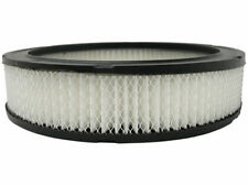 Air Filter For 1969 Pontiac Strato Chief C822TS Gold -- New picture