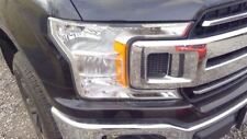 Passenger Headlight Halogen Fits 18-20 FORD F150 PICKUP 1284375 picture