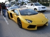 toy-rally-fort-lauderdale-2013-aventador-yellow-2