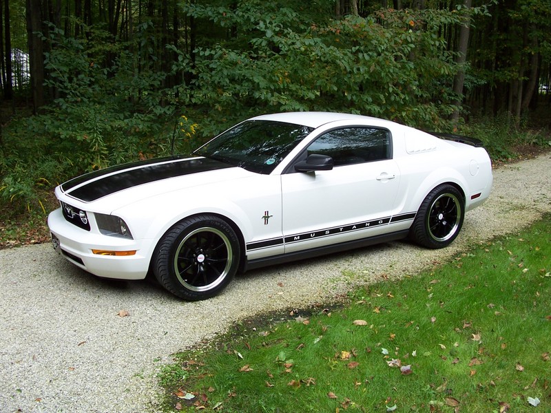 0 2006 60 Ford mustang #8