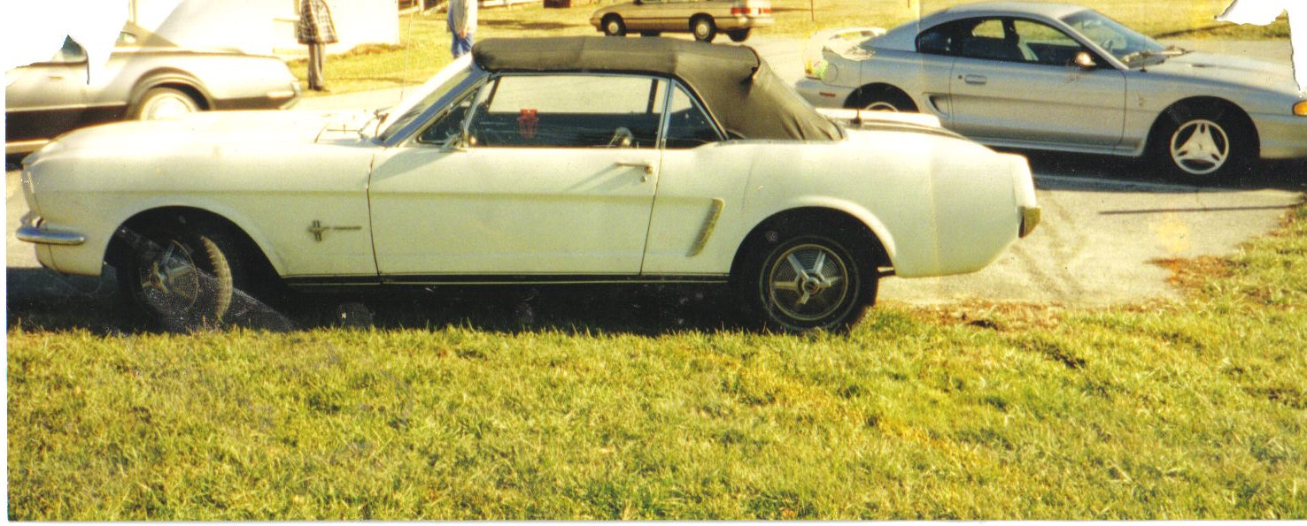  1965 Ford Mustang pony