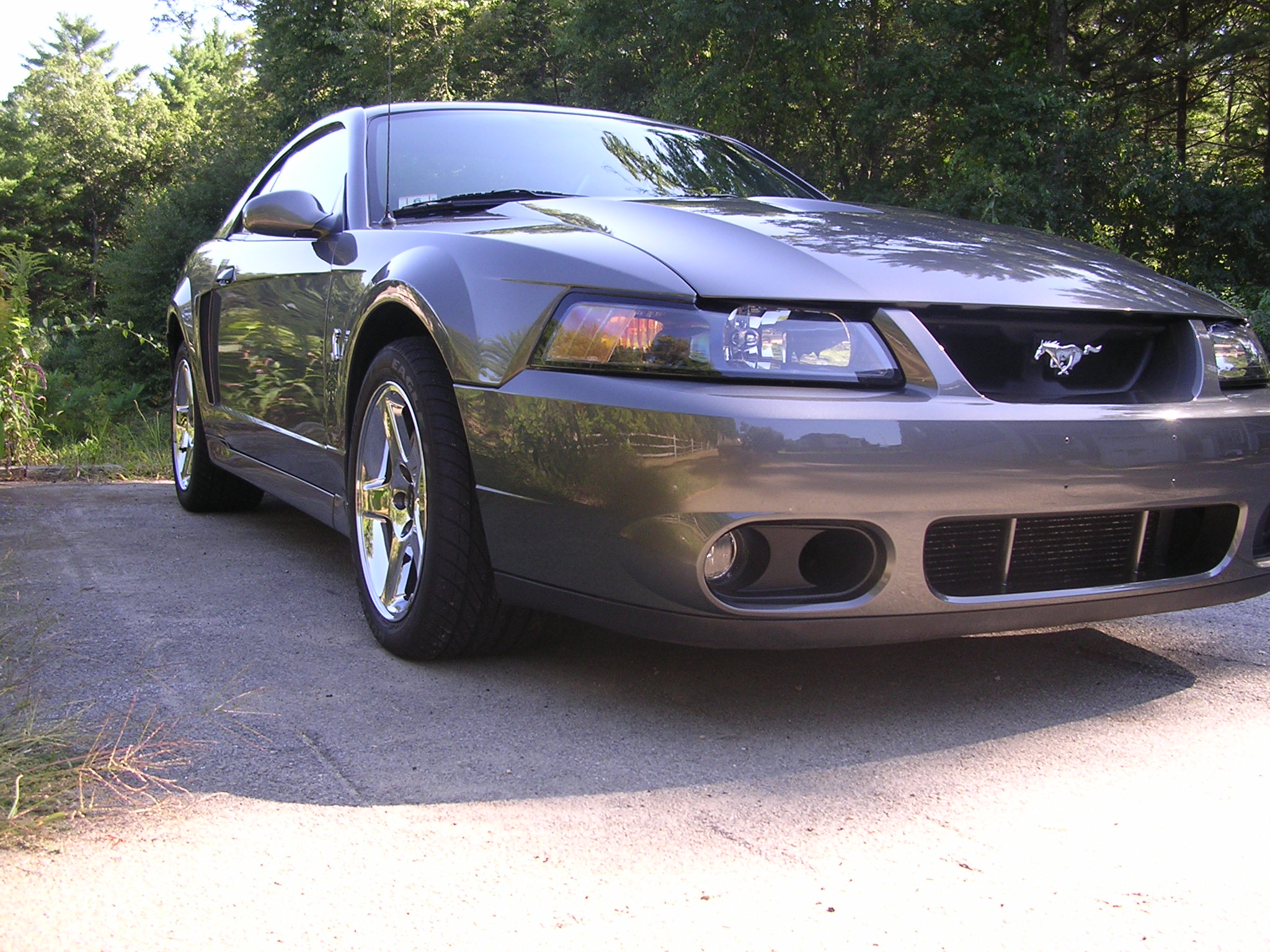 2003 Ford mustang mods #1