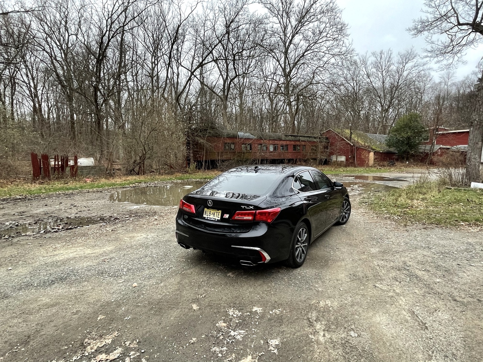 NBP 2019 Acura TL TLX 3.5 PAWS