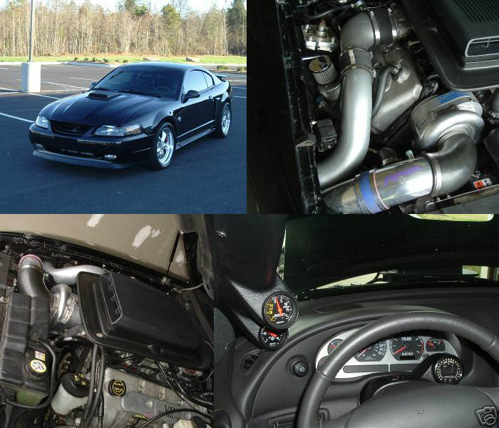 2004  Ford Mustang Mach 1 Supercharger picture, mods, upgrades