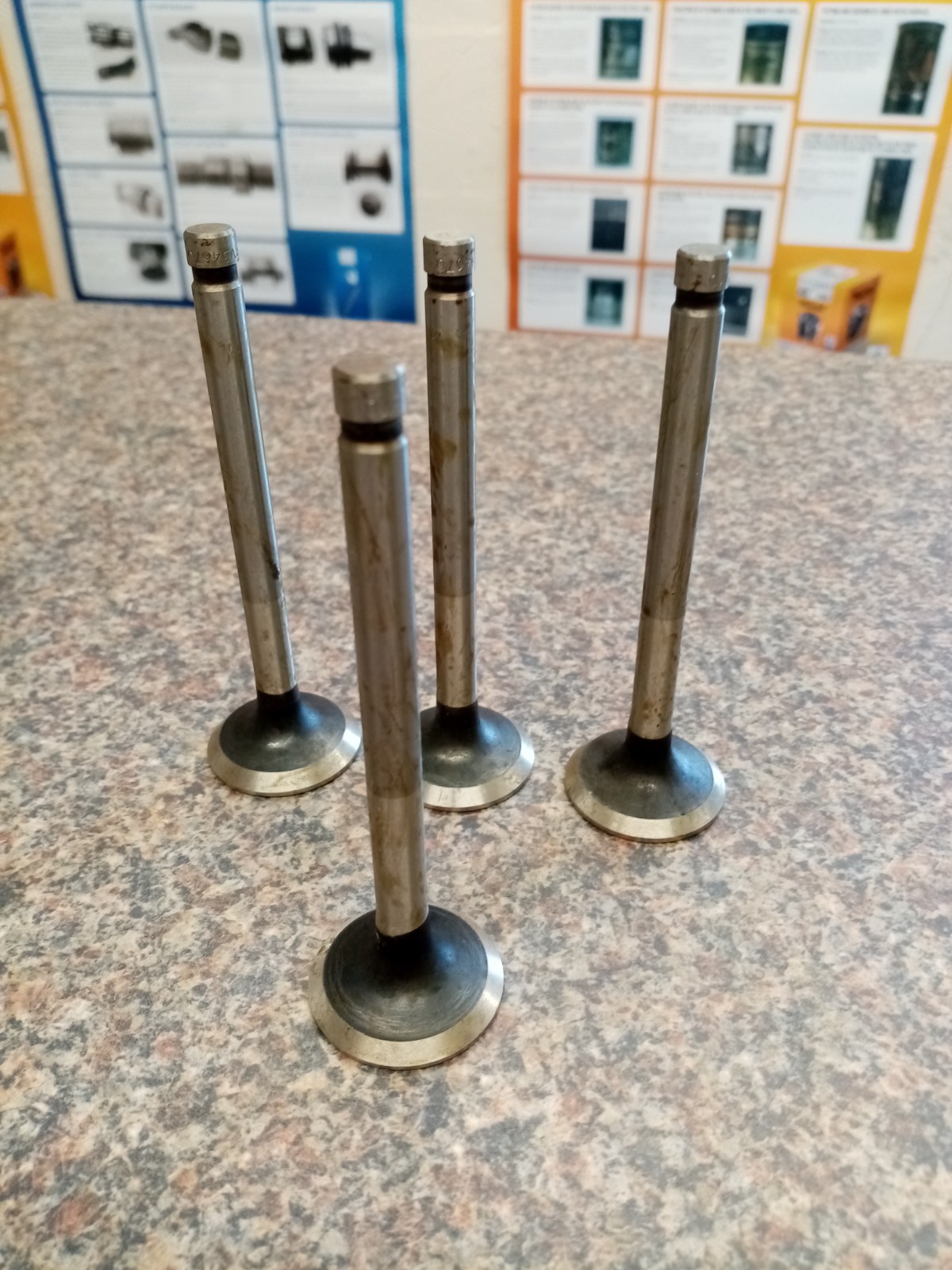 Ford 12M 15M 17M Exhaust Valve SET (4) Taunus / Saab Sonnett