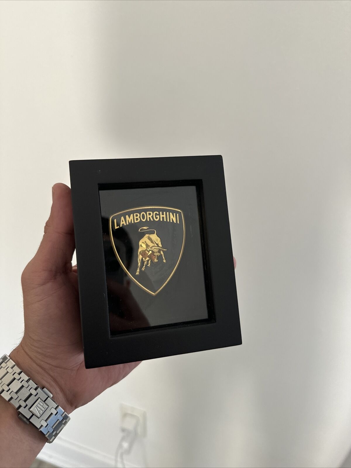 Real Authentic Lamborghini Gallardo emblem Logo front hood badge 2010