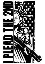 I Plead The 2nd Statue Of Liberty America 2nd Amendment Vinyl Decal Sticker picture