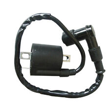 Ignition Coil For 110 125 150 200cc 250cc ATV Moped Go Kart Quad Chinese Bike picture