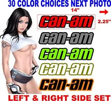 CAN-AM CANAM RYKER SPYDER BPR DECALS DECAL 2 COLOR 30 color choices picture